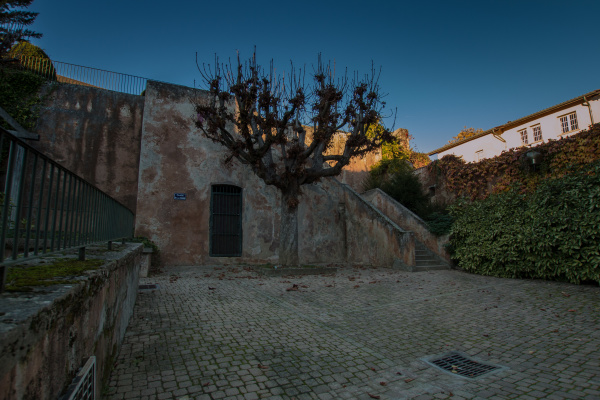 IMG_3559(2) IMG_3559(2)