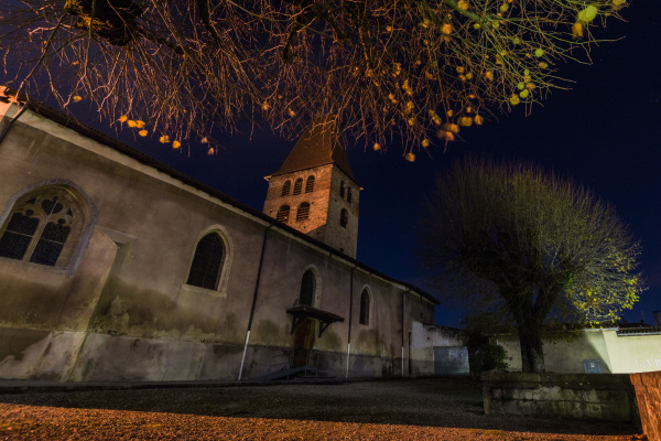 IMG_3617(2) IMG_3617(2)